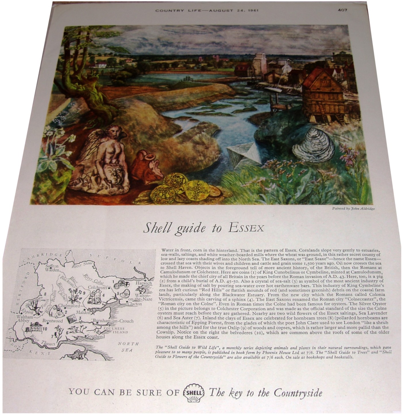 Country Life 1961